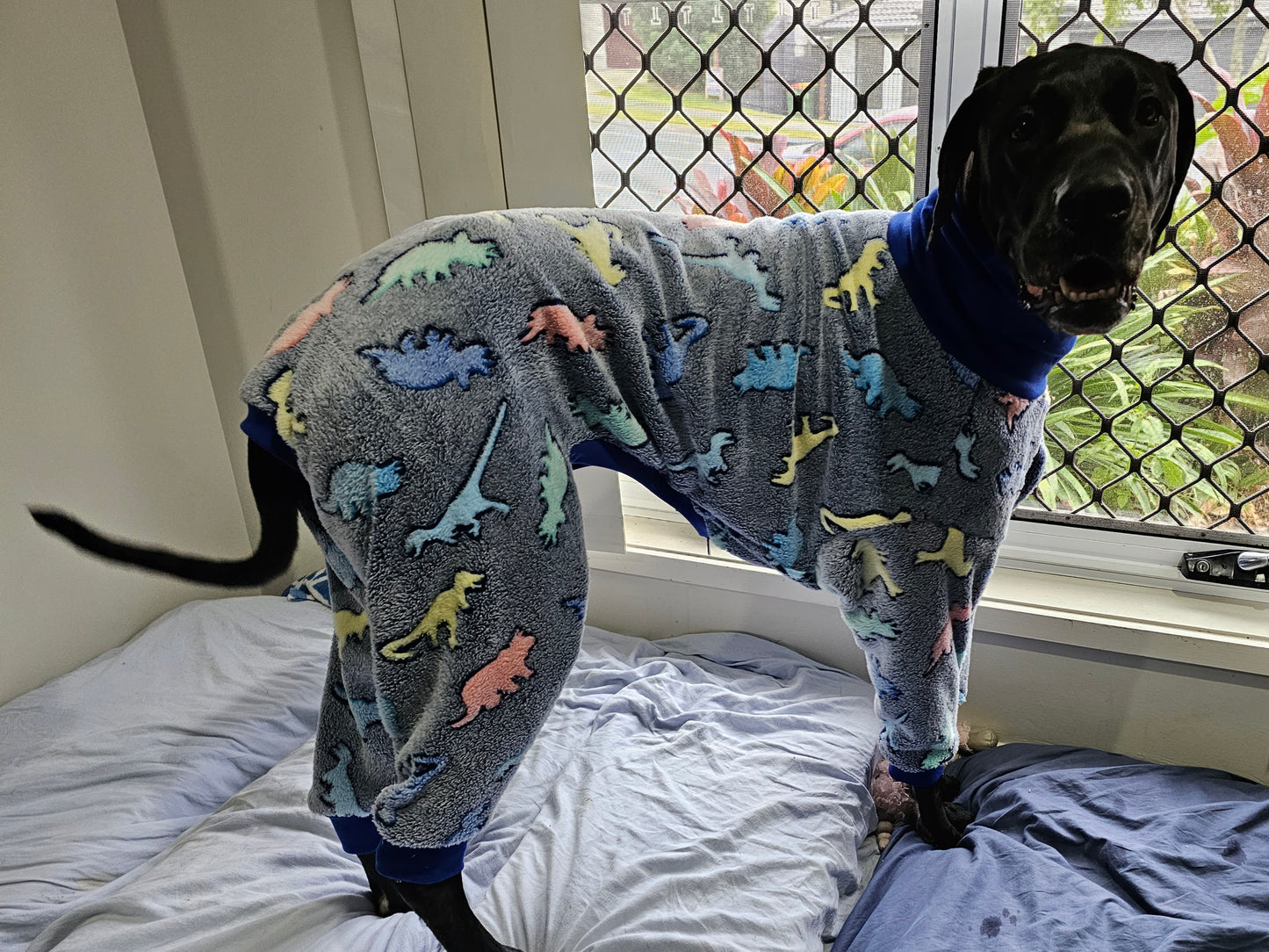 Ready Made Dog Onesie - XXL (80cm and 85cm)