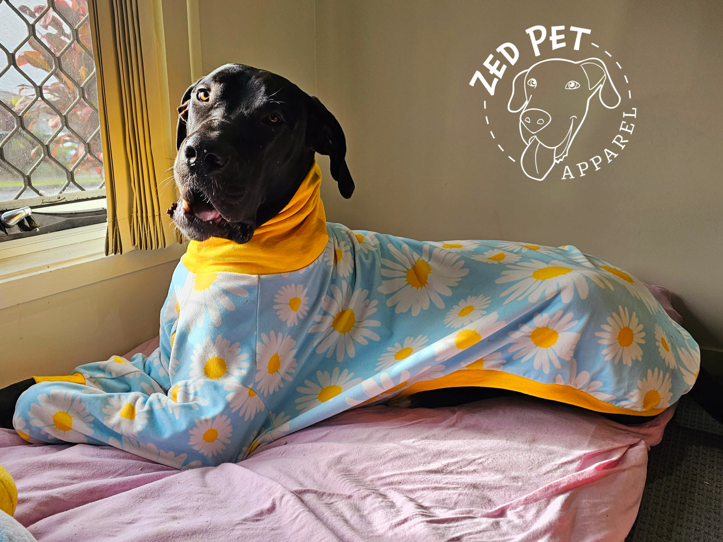 Ready Made Dog Coatsie - XL (75cm)