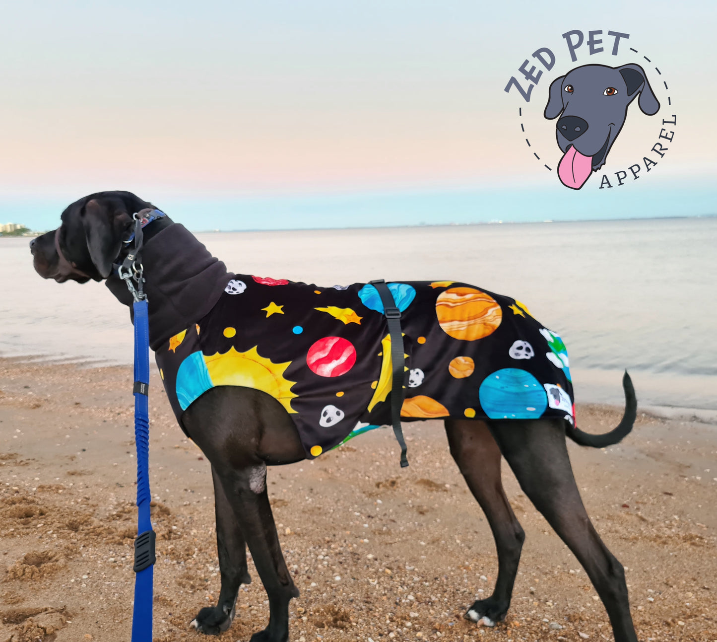 Great dane cross wearing space themed dog coat on the beach