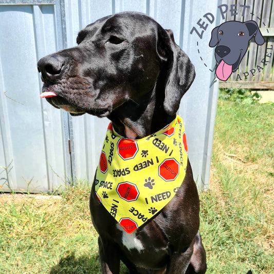 Great dane wearing a yellow bandanna that says "stop I need space"